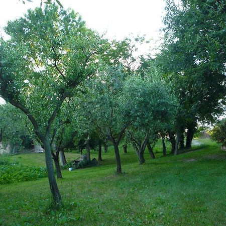 Agriturismo Lupo Bianco Monzambano Zewnętrze zdjęcie